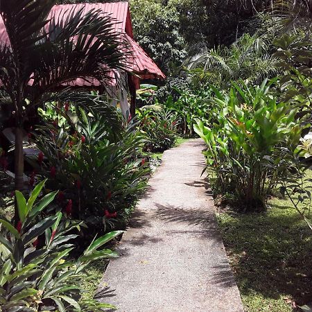 Villa Sevilla Big Creek Exterior photo