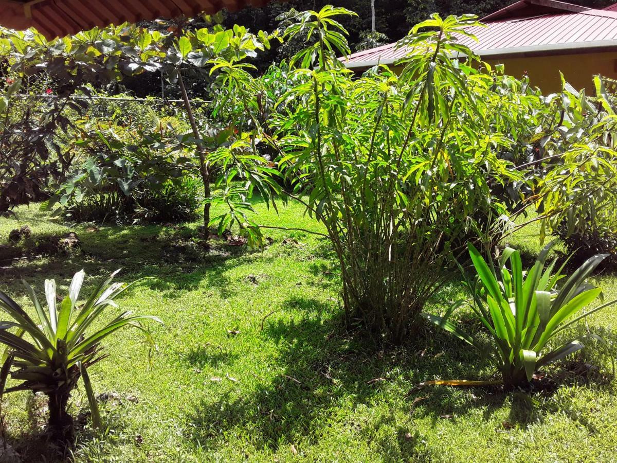 Villa Sevilla Big Creek Exterior photo